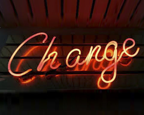 N.36 | Do you want to change the world? And where do you start in your company?