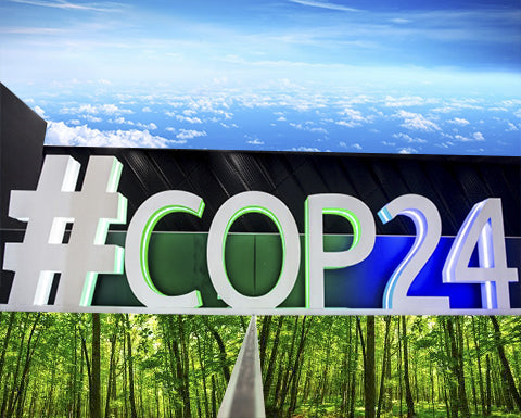 N. 28 | COP 24 · ACTING TOGETHER IS THE ONLY WAY OUT