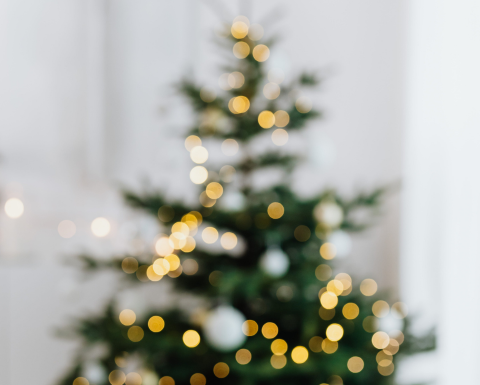 N.59 | SOME (EASY) TIPS FOR A SUSTAINABLE CHRISTMAS