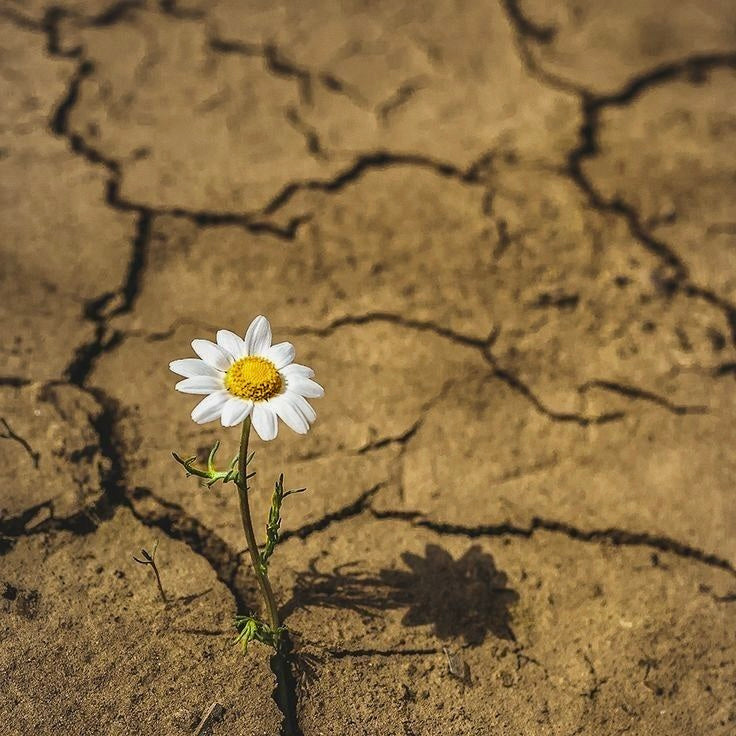 N.69 | 2025: THE YEAR OF THE HYBRID TRANSITION