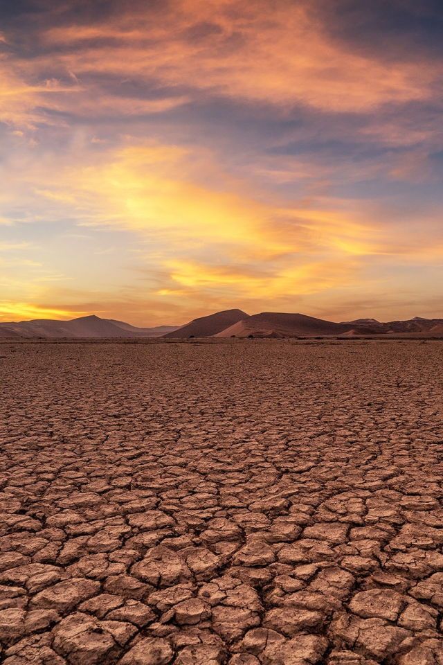 N°92: World Day to Combat Desertification and Drought: Regenerating Our Relationship with the Earth