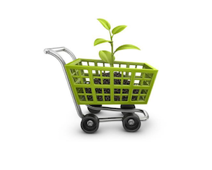 SUSTAINABILITY OF LEATHER SUPPLY CHAIN AND GREEN PUBLIC PROCUREMENT