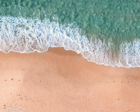 N. 52 | JUNE 28TH - WORLD NATURE CONSERVATION DAY